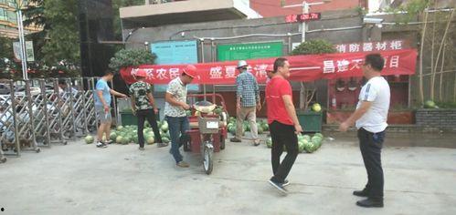 库尔勒市吃瓜群众,瓜乡风情，吃瓜群众的欢乐盛宴