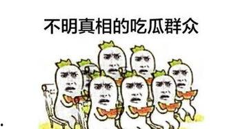 趣味吃瓜群众,趣味吃瓜群众带你领略明星幕后故事