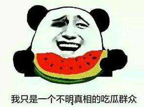 去看看吃瓜群众怎么说,吃瓜群众热议焦点，热门话题背后的声音