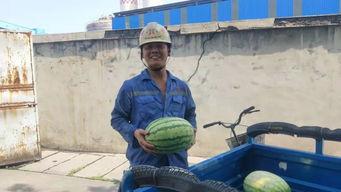 一楼的吃瓜群众,揭秘社区热点事件背后的真相