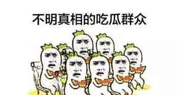 吃瓜群众称号后面是什么,揭秘“吃瓜群众”背后的故事与传奇