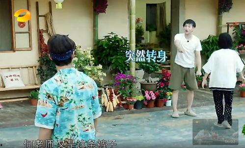 临县吃瓜群众事件真相,真相与反思