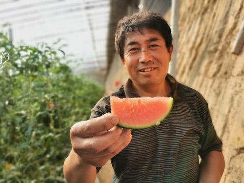 杨盈吃瓜群众,吃瓜群众的视角，揭秘娱乐圈风云