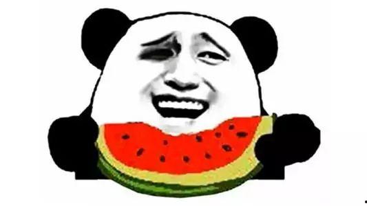 吃瓜群众种子怎么种,种子种植的秘诀分享