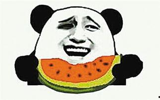 怪兽吃瓜群众视频大全