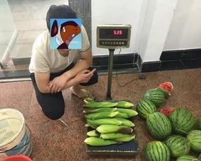 吃瓜群众最可恶,最可恶的围观者背后的真相