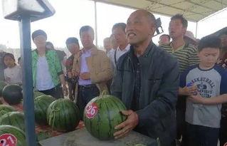 清远吃瓜群众新闻视频最新,最新新闻视频揭秘惊人内幕