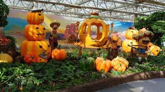 吃瓜群众第二部全集,揭秘娱乐圈风云再起