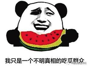 四川传媒吃瓜群众,吃瓜群众热议，揭秘娱乐圈幕后故事