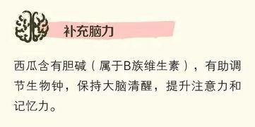 特别聪明的吃瓜群众是谁,网络红人的崛起之路