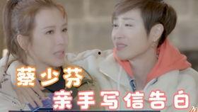 嗑cp吃瓜群众明星