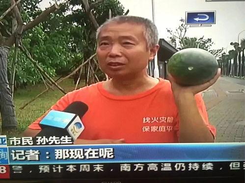 东城区吃瓜群众事件,网络舆论场上的风波与反思