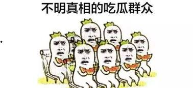 爱看热闹的吃瓜群众是指什么生肖,天生爱看热闹的“吃瓜群众”