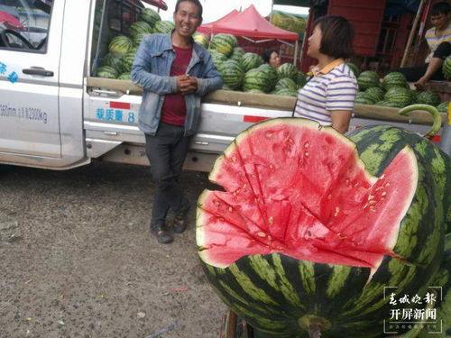 来宾市吃瓜群众爆料视频,吃瓜群众爆料视频，揭秘当地新鲜事