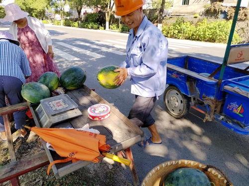 莆田吃瓜群众在路上,吃瓜群众的热议瞬间