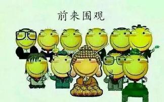 兰陵吃瓜群众是谁,网络红人的崛起之路