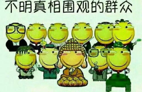 快到碗里吃瓜群众怎么说,揭秘网络流行语背后的趣味与智慧