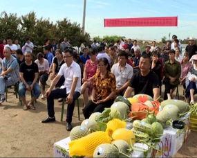 东湖塘吃瓜群众视频,揭秘社区生活百态