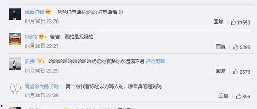 吃瓜群众神评论神回复