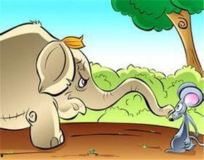 吃瓜群众小老鼠视频,揭秘娱乐圈幕后故事