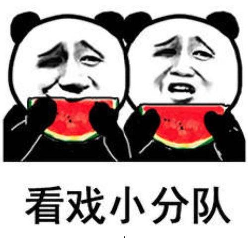 吃瓜群众的包包