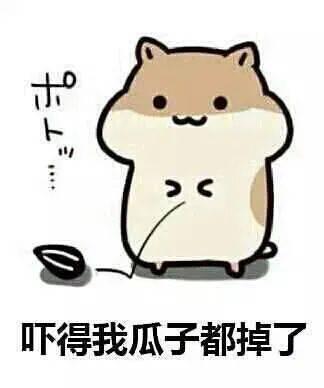 吃瓜群众是认真的吗,他们真的认真吗？