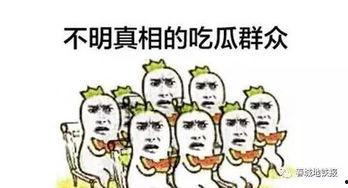 在穿书文里做吃瓜群众,见证一场场奇幻剧情的幕后风云